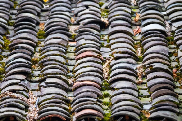 Toiture ancienne couverte de mousse et de lichens