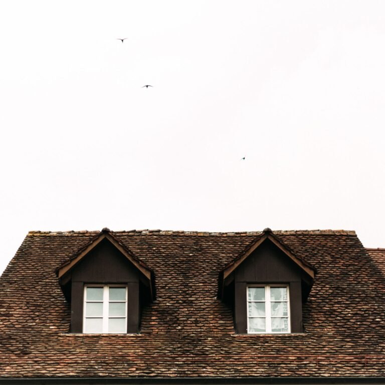 Toiture avec fenêtres de toit